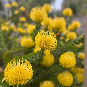 Meet your Posher, Qun